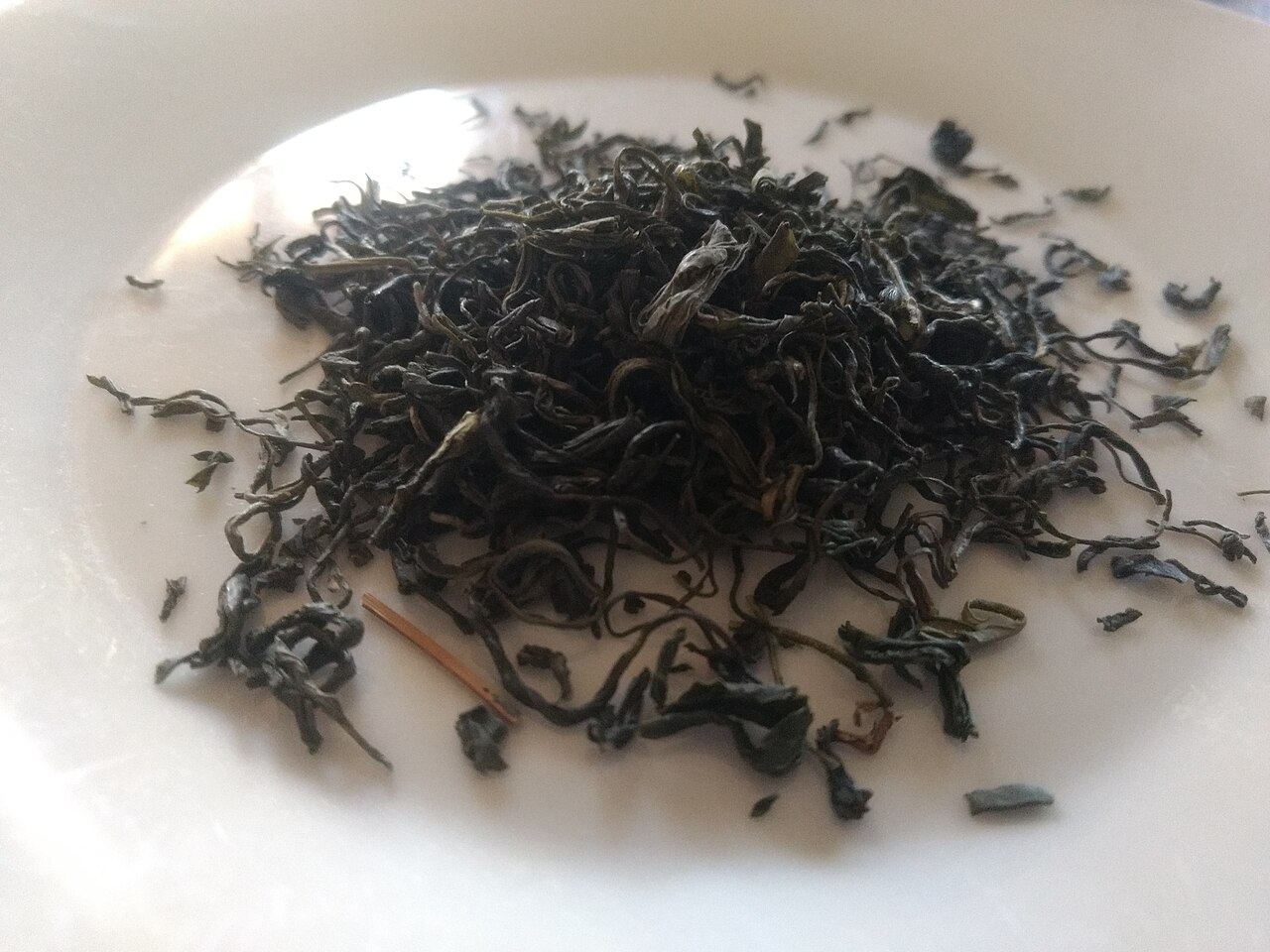 信阳毛尖干茶